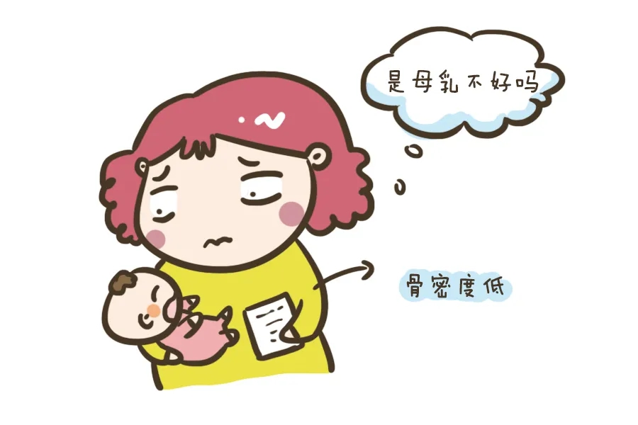 超声骨密度仪